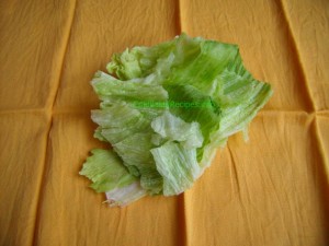 lettuce before shredding